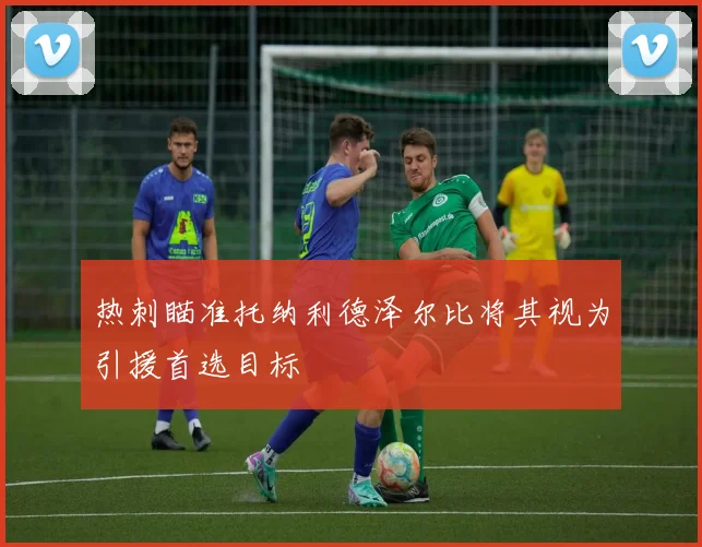 热刺瞄准托纳利德泽尔比将其视为引援首选目标